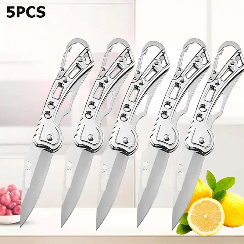 Portable Stainless Steel Fruit Knife – Foldable, Sharp & Easy Grip
