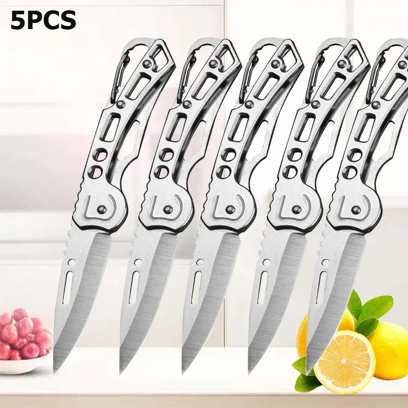 Portable Stainless Steel Fruit Knife – Foldable, Sharp & Easy Grip